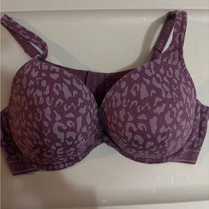 Cacique Plum Leopard Print Bra
